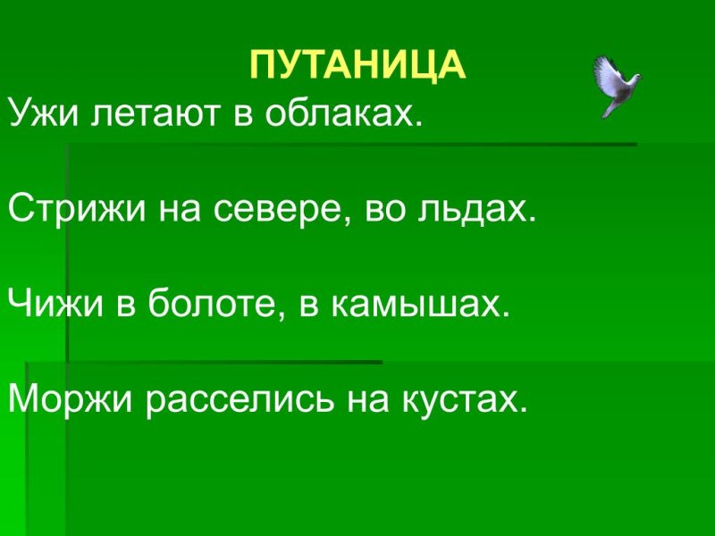В небе чижи в болоте ужи