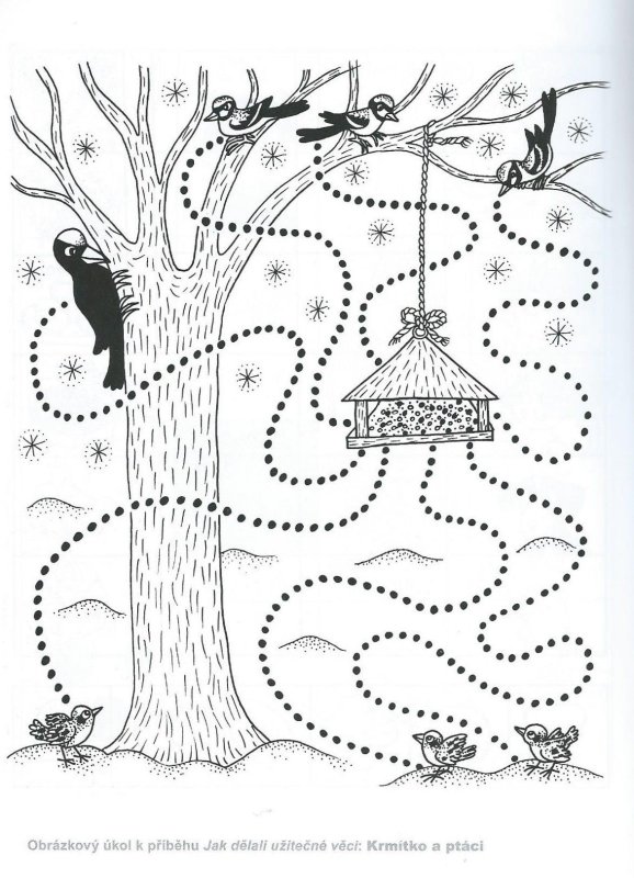 Зима зимующие птицы задания для дошкольников