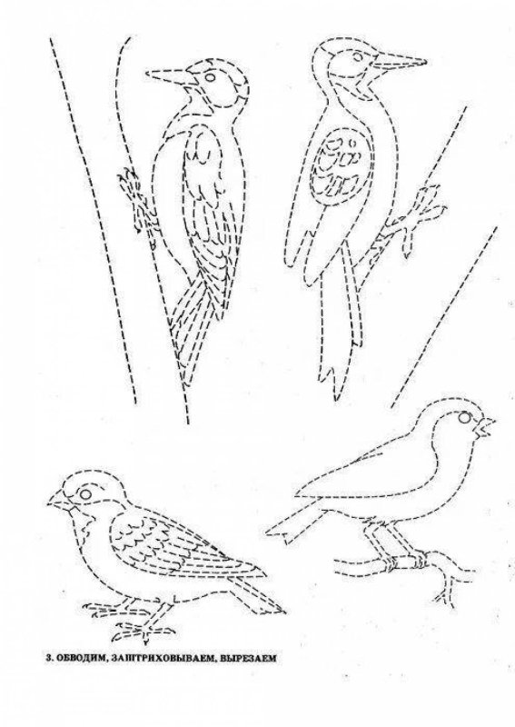 Штриховка зимующие птицы для дошкольников