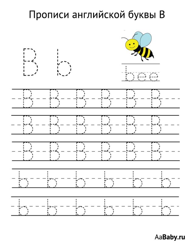 English Alphabet Letters прописи