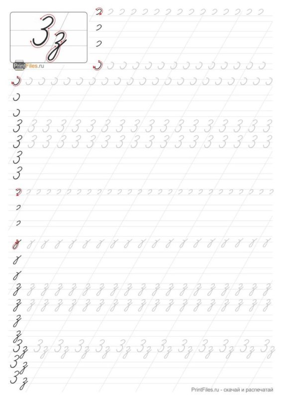 Прописи со строчной буквой з