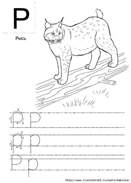 Буква р и р в прописи