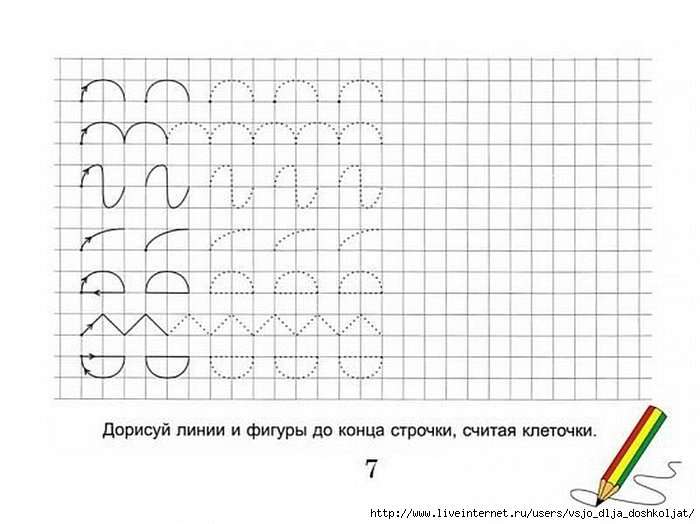 Пропись в клеточку для дошкольников 6-7 лет