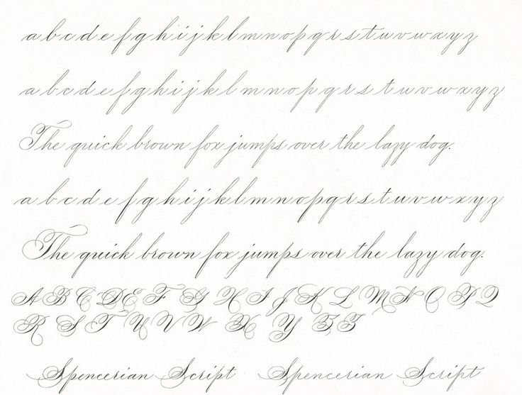 Каллиграфия Spencerian