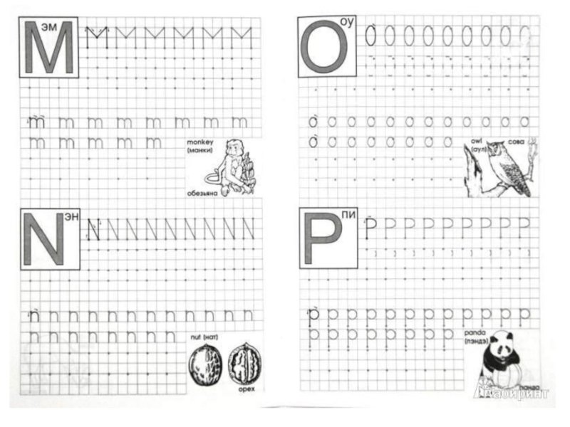 Прописи для дошкольников буквы печатные