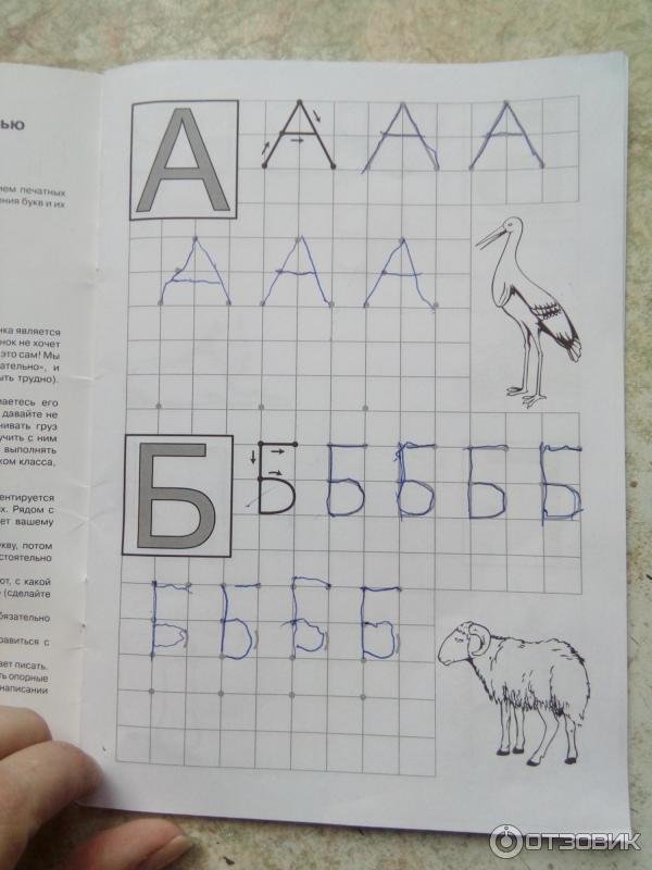 Написание букв по клеточкам