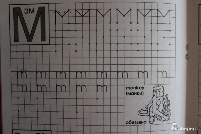 Прописи. Печатные буквы