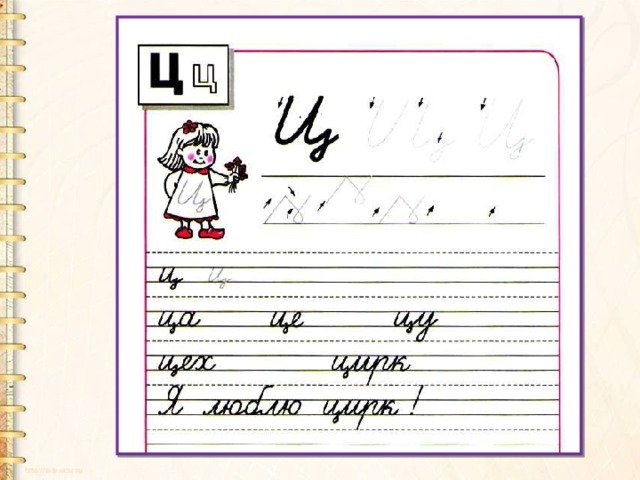 Буква ц прописи школа России