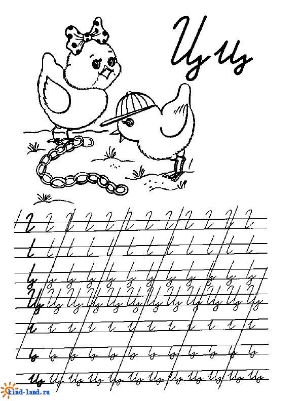 Прописи буква ц прописная