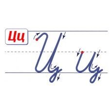 Буква ц письменная и печатная