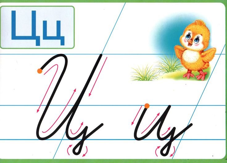 Строчная буква ц