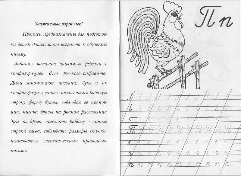 Прописи для детей и взрослых