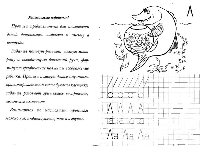 Прописи для взрозрослых