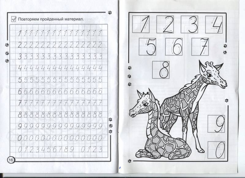 Прописи цифра 1 для дошкольников 5-6 лет