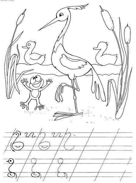 Аист раскраска