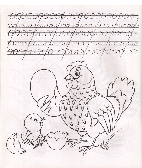 Домашние птицы прописи