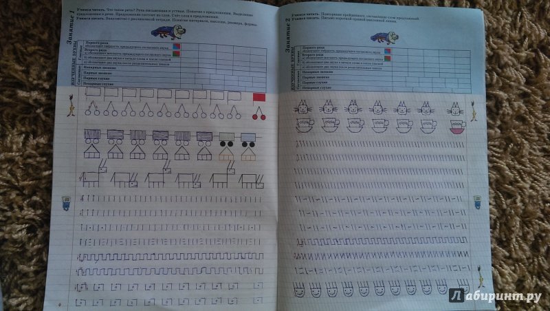 прописи шкляров