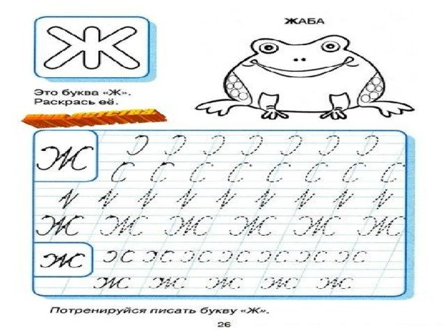 Прописи буква ж прописная