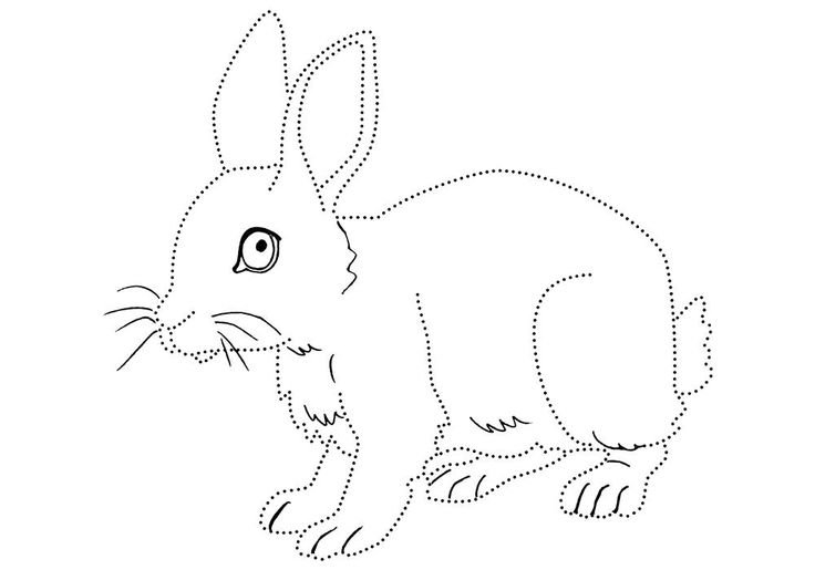 Обводить животных по точкам детям