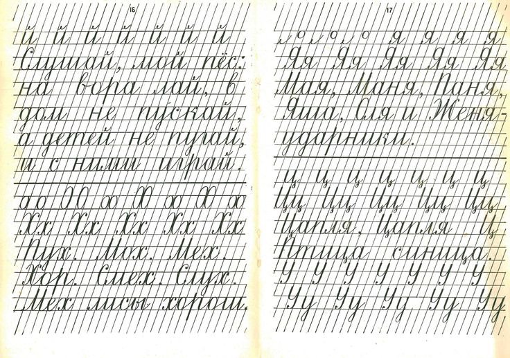 Прописи 1 класс Леонида Некина