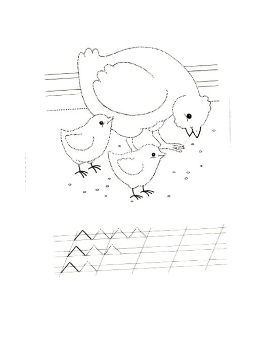 Штриховка птицы для дошкольников