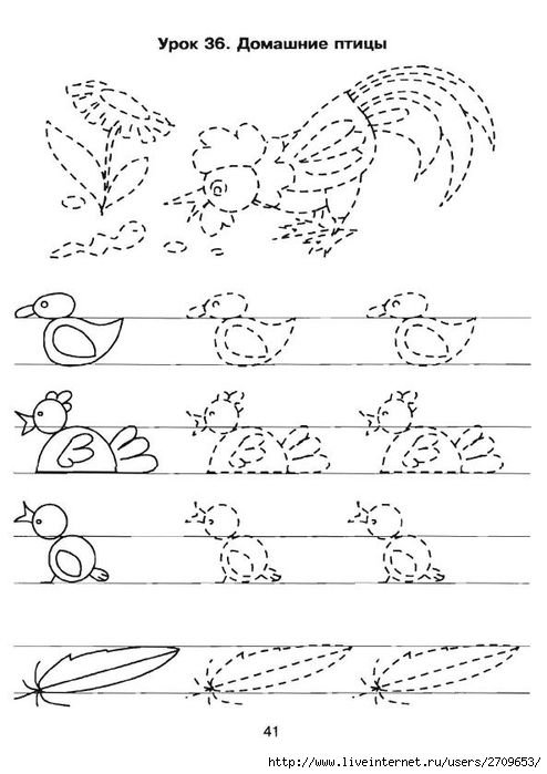 Прописи для дошкольников 6-7 лет