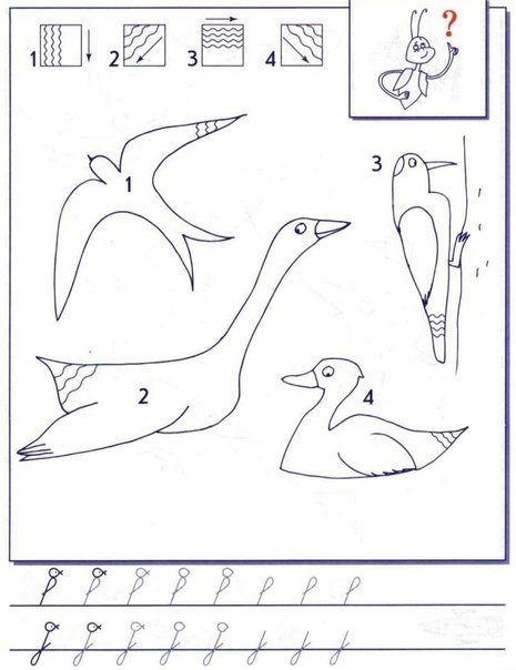 Штриховка птицы для дошкольников