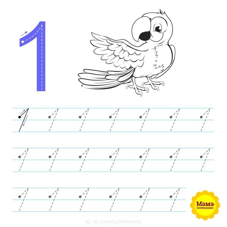 Цифра 1 пропись для дошкольников