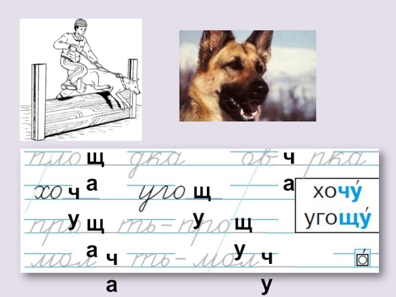 Чистописание ча ща Чу ЩУ 1 класс