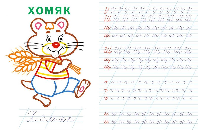 Прописи. Буквы