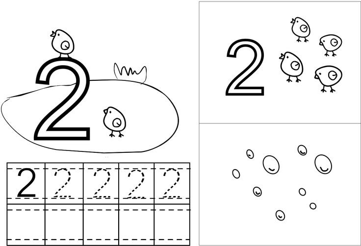 Число и цифра два для дошкольников