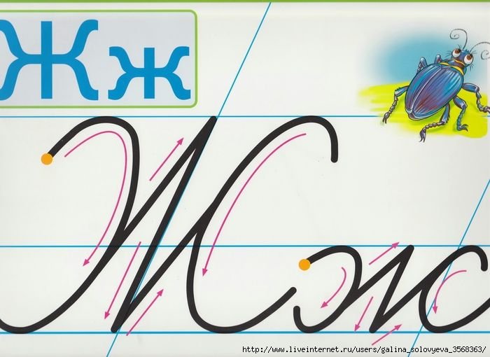 Буква ж заглавная и строчная