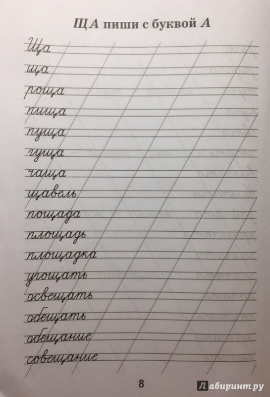 Прописи слова