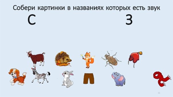 Дифференциация звуков с-з для дошкольников