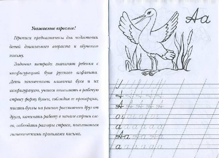 Прописи с рассказами о птицах для детей