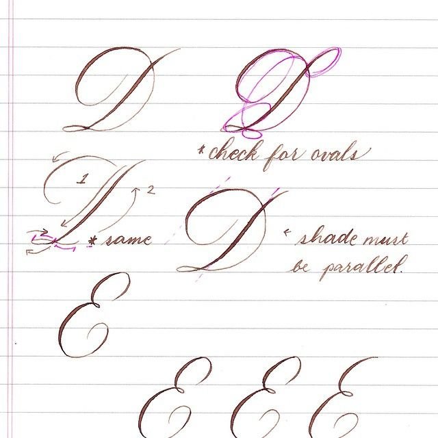 Буква д каллиграфическим почерком