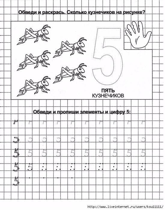 Пропись написание цифры 5