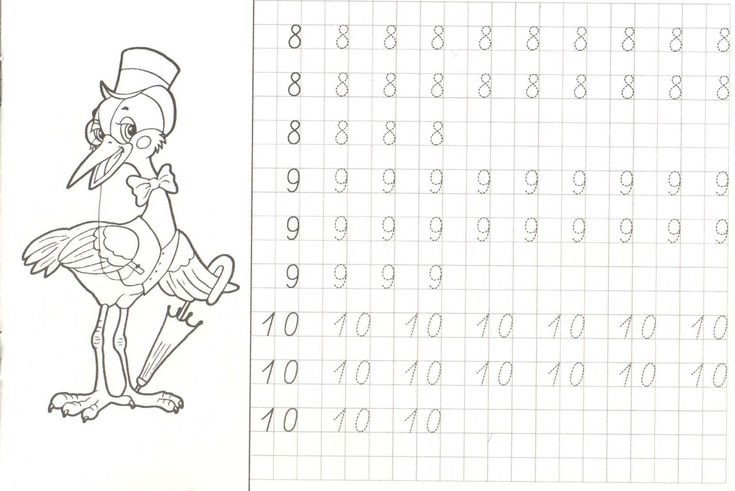 Прописи цифры обводилки для детей