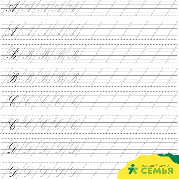 Каллиграфия прописи