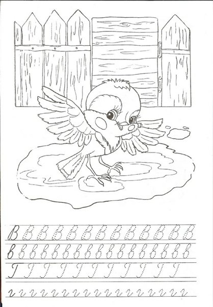 Цыпленок. Раскраски