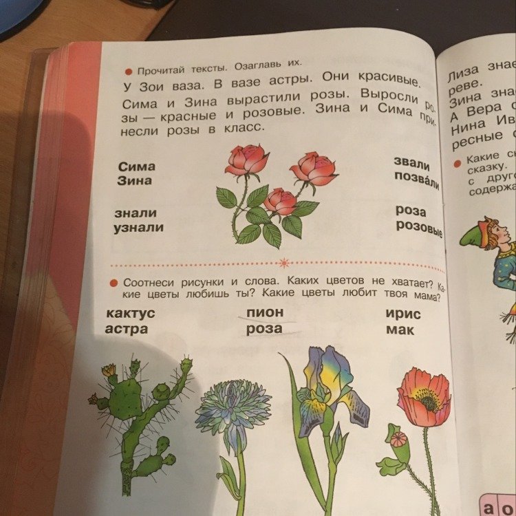 Схема слова пион 1 класс