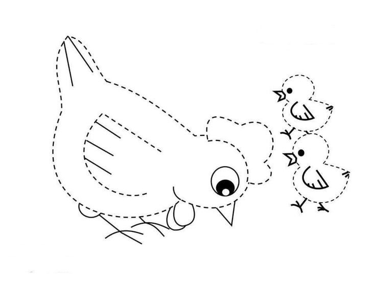 Обводка для детей