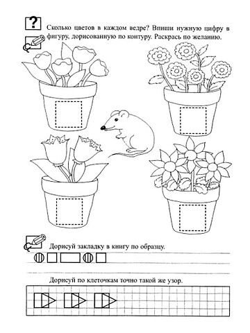 Комнатные растения задания для дошкольников