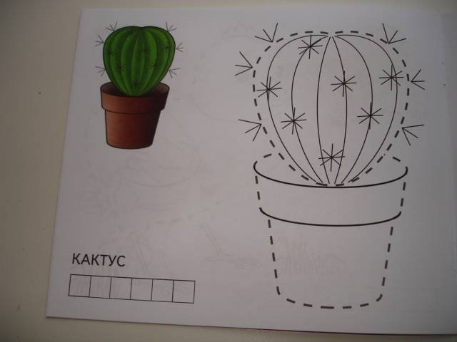 Кактус задания для дошкольников