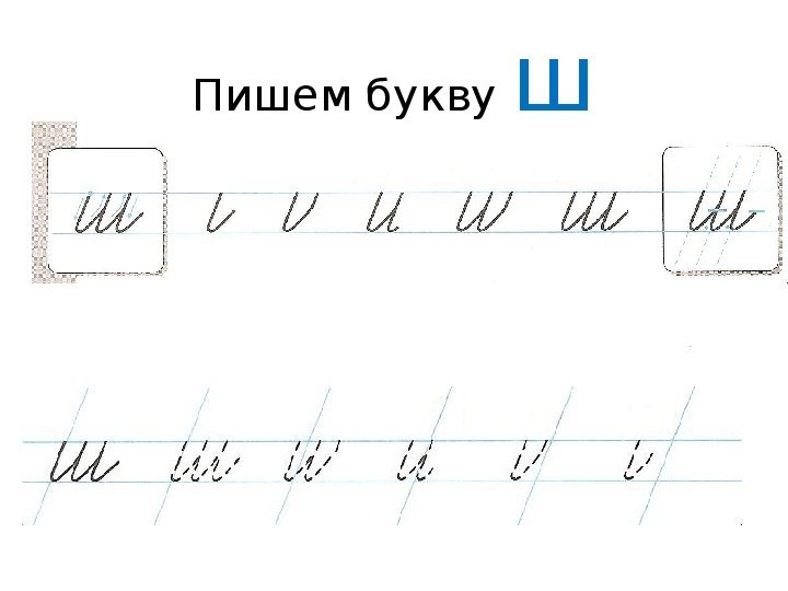 Прописи буква ш и ж