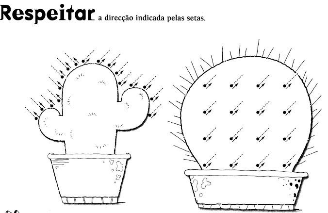 Кактус штриховка для детей