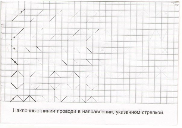 прописи для детей 5 6 лет в клетку 24 фото