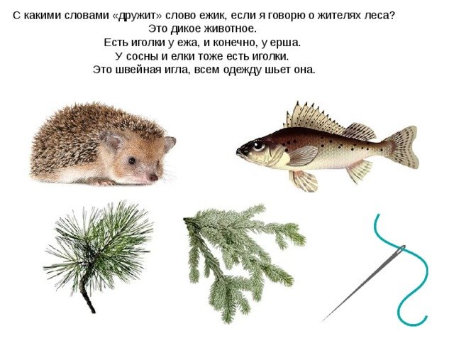 Загадка про ерша для детей