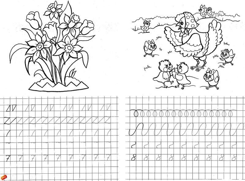 Математические прописи для дошкольников 5-6 лет