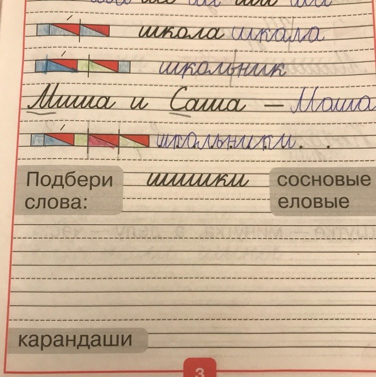 Шишки еловые и сосновые прописи 1 класс